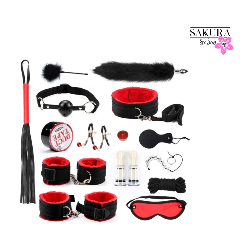 Kit de BDSM 16 piezas