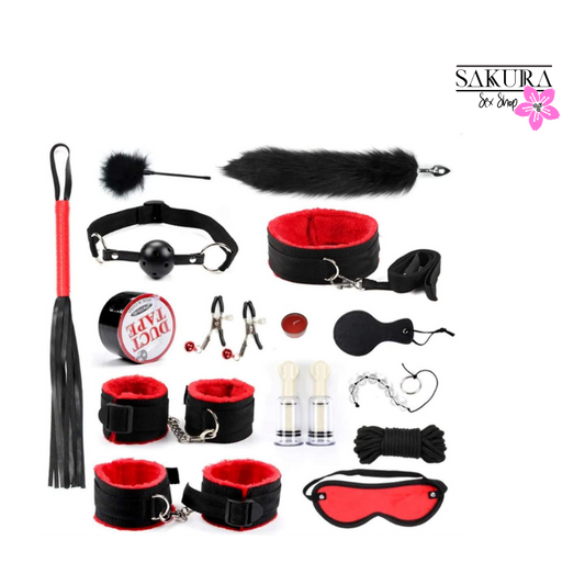 Kit de BDSM 16 piezas